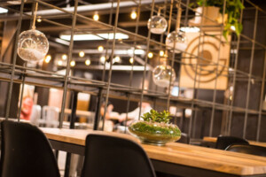 Inline image showing the inside of Global Coffee shop in Reno, Nevada